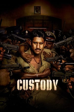 Custody 2023 Hindi (HQ-Dub) Dual Audio –