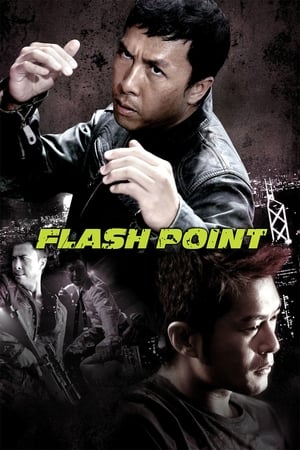 Flash Point (2007) Hindi Dual Audio 300MB