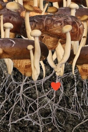 Heaven (2022) Hindi Movie –