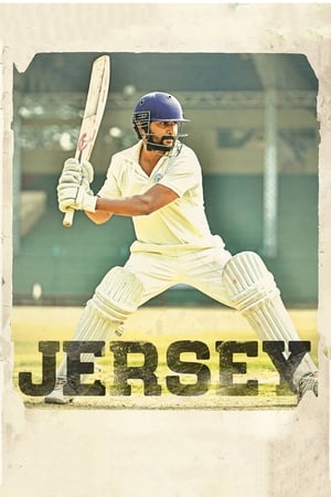 Jersey 2019 Hindi Dual Audio 450MB