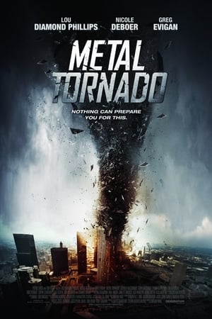 Metal Tornado 2011 Hindi Dual Audio [1GB]