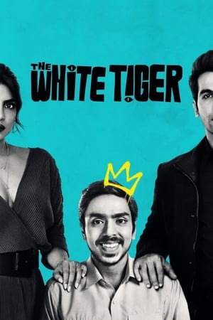 The White Tiger (2021) Hindi Movie – [370MB]